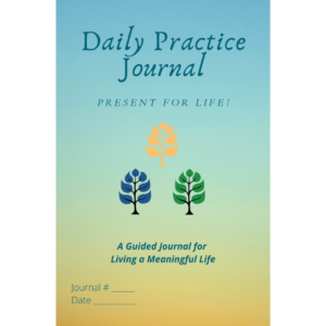 Daily Practice Journal