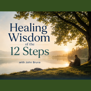 The Healing Wisdom of the 12 Steps